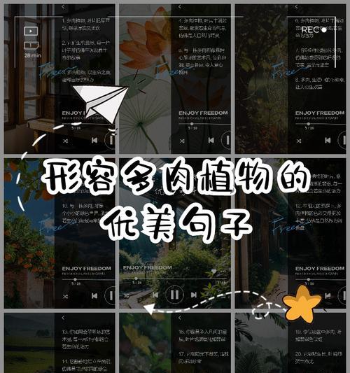 多肉植物的花语有哪些神奇之处？