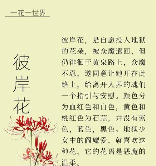 花语真实的谎言是什么意思？花语中有哪些双关含义？