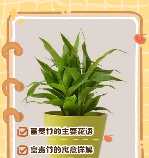 时间花语与生肖有何关联？花语中蕴含的动物象征是什么？