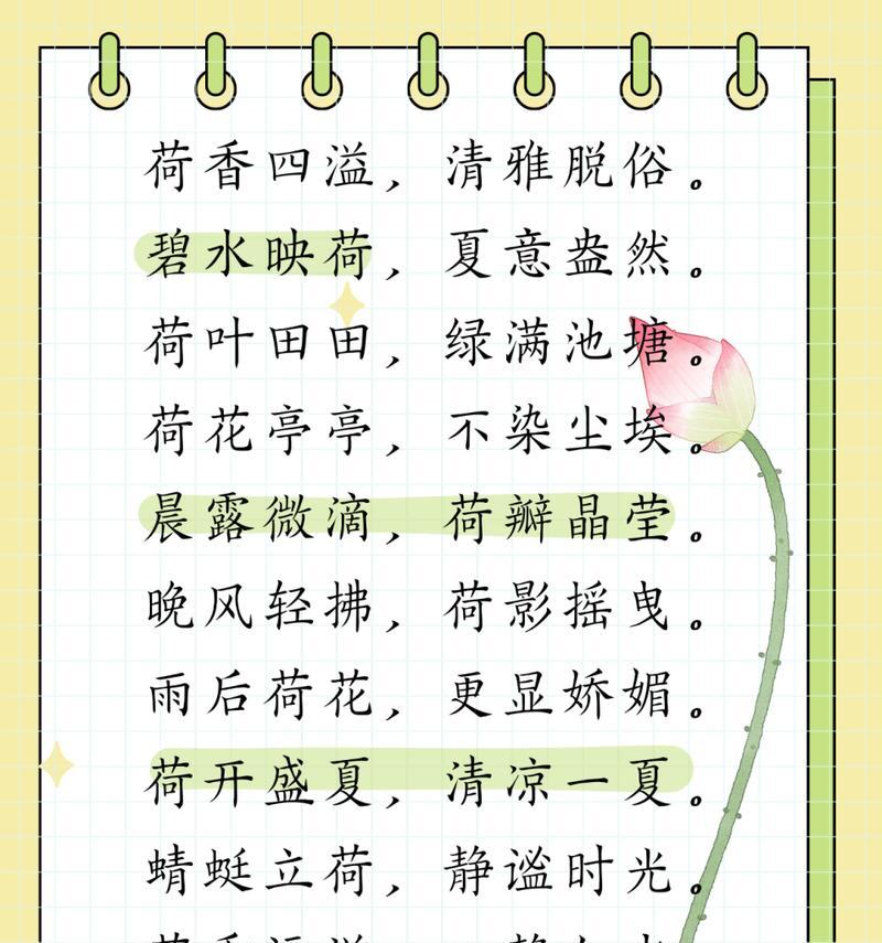荷花的优美花语有哪些？