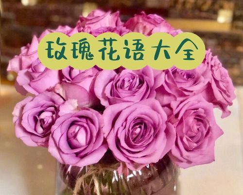 粉色玫瑰花语有哪些？