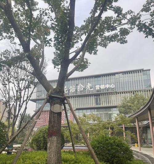 花语拾光产品有哪些不足之处？