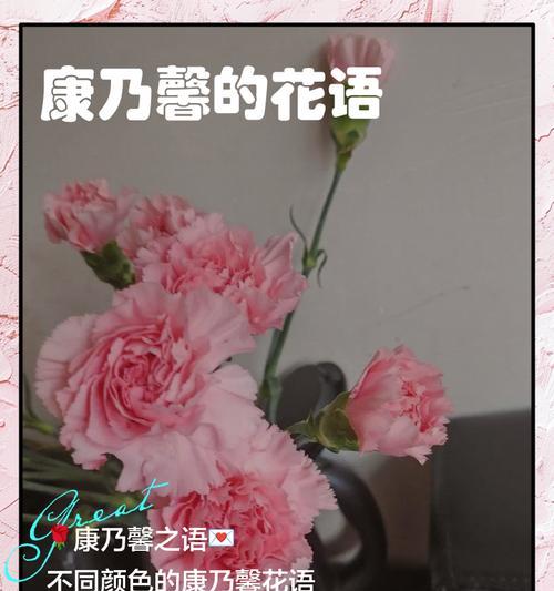谢的花语代表什么？如何用花语表达感谢之情？