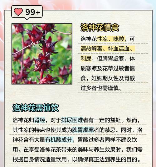加洛法诺的花语有何深意？