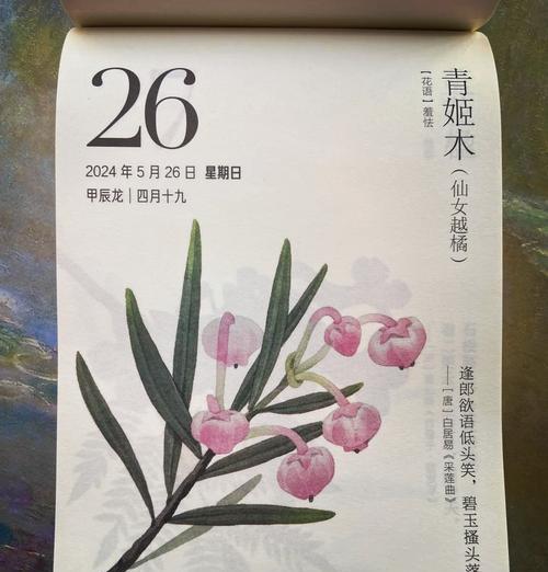 诺言玫瑰的寓意与花语是什么？它们有何含义？
