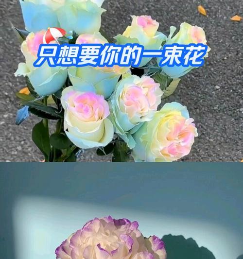 遗憾的花的花语是什么意思？它代表了哪些情感？