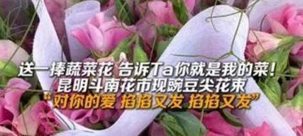 豌豆苗的花语与寓意是什么？它代表了哪些美好含义？