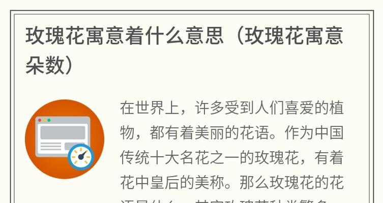 玫瑰花的寓意是什么？它有哪些特别的用处？