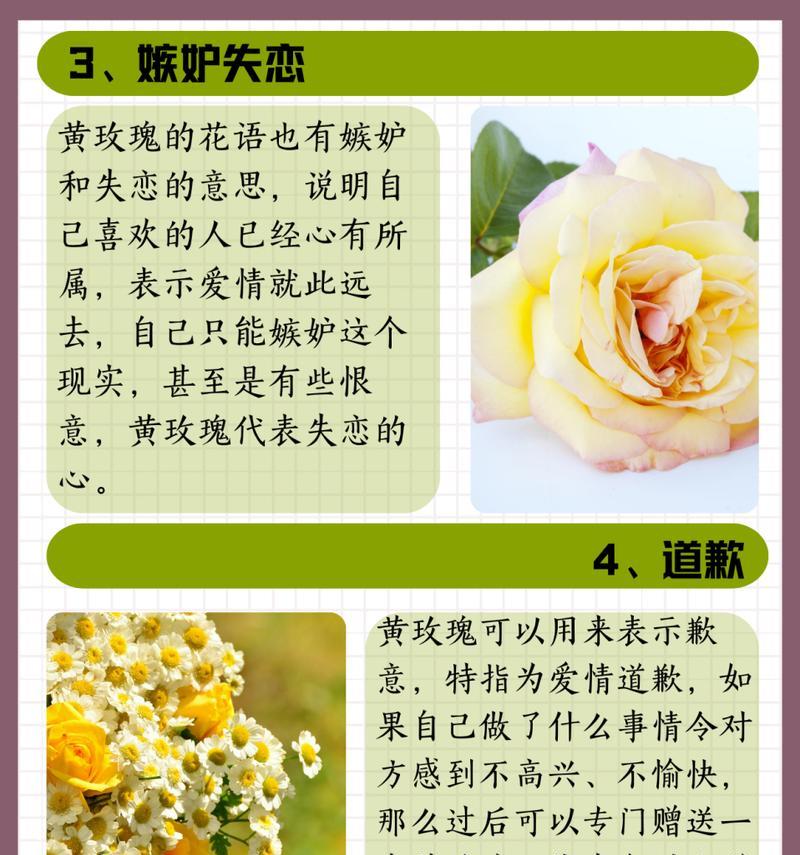 手工花玫瑰的寓意是什么？手工花玫瑰花代表什么含义？