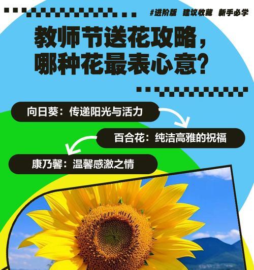 哪种花的花语最能表达爱意？