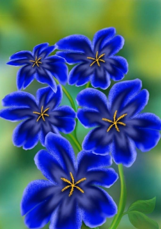 蓝色花朵的花语有何特别之处？如何选择蓝色花表达情感？