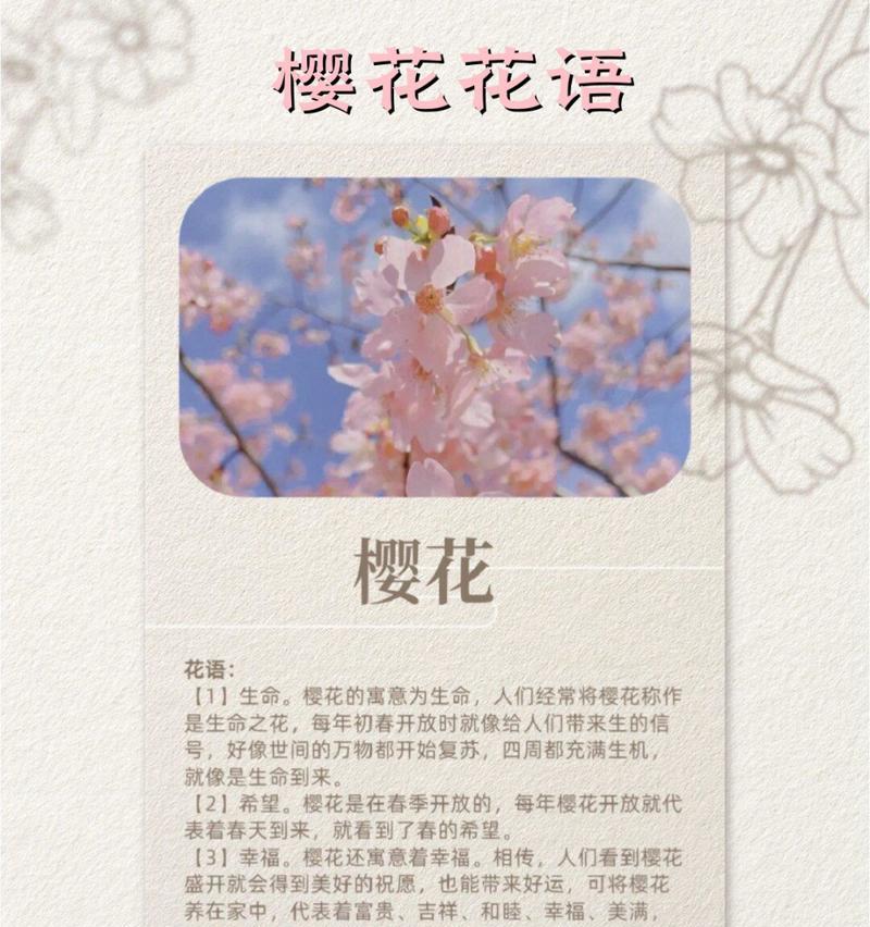 绿叶樱花和粉蝶的花语有何不同？各自代表了什么？