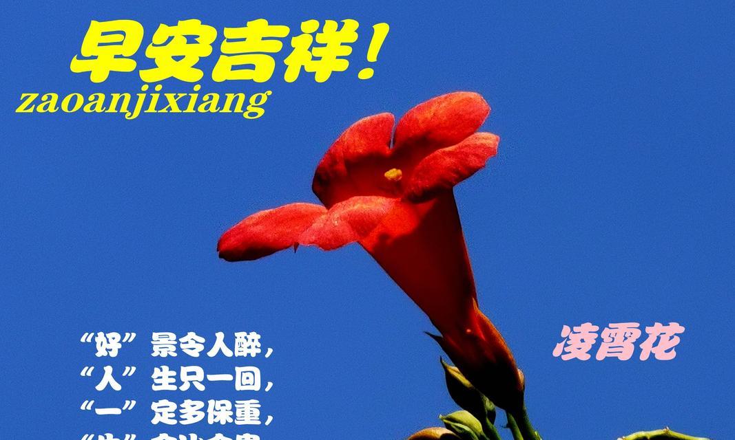 和气满堂的花语和寓意是什么？