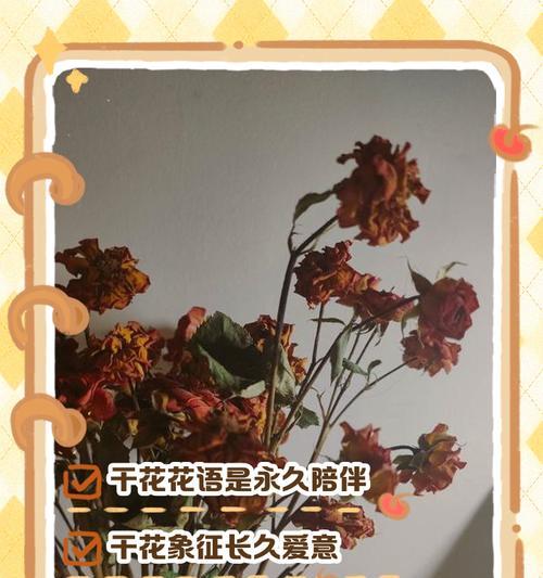 沉稳的爱用什么花语表达？它的含义是什么？
