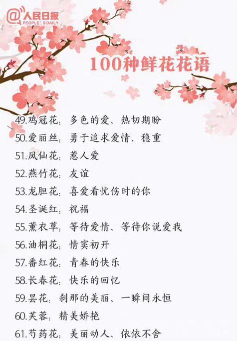 沉稳的爱用什么花语表达？它的含义是什么？