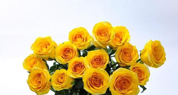 离别的爱是什么花语？离别时选择哪种花最合适？