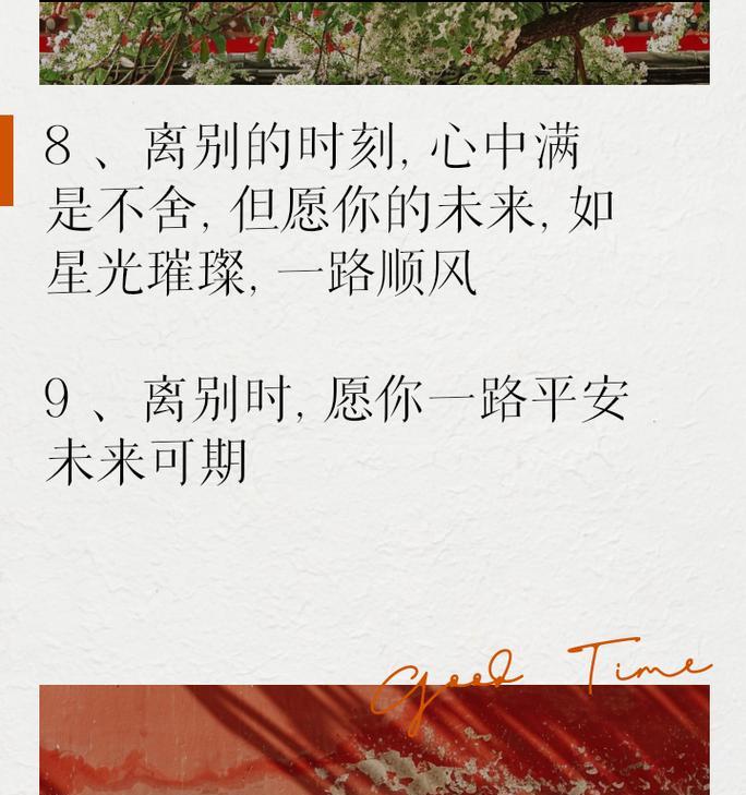 离别与重逢的花语有何寓意？
