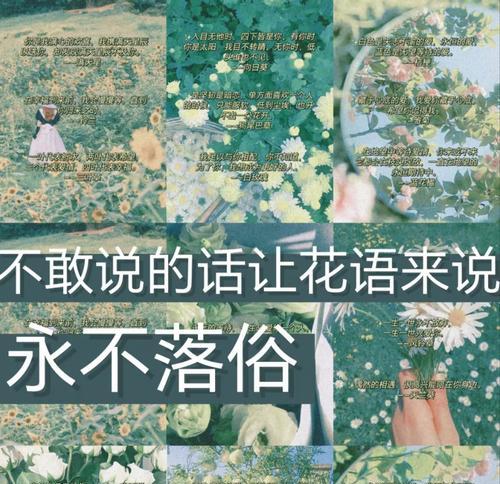 跨年时推荐送什么花及其花语？