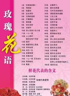 冷酿玫瑰的花语和寓意是什么？