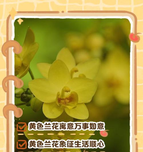 清冷张扬的花语代表什么？它传递了哪些信息？