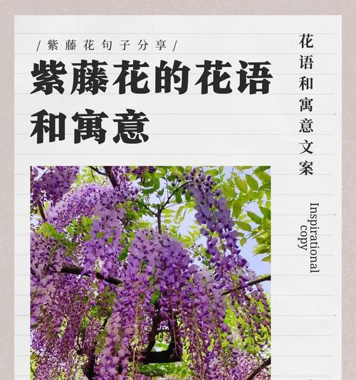 哪种花语最能表达强烈情感？如何选择？