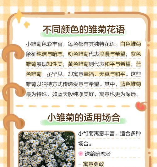 哪种花语最能表达强烈情感？如何选择？