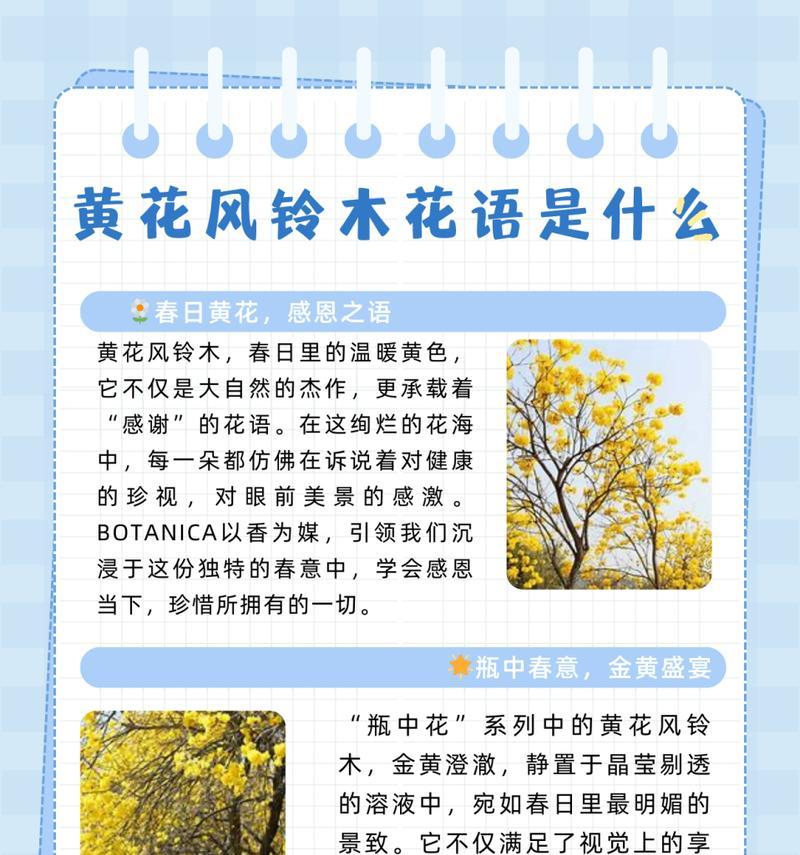 九月有哪些花的花语特别适合表达情感？