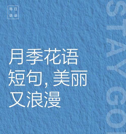 月季花的花语有何深意？它代表了什么？