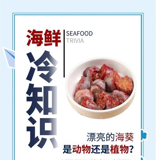 深海中的花语有何神秘含义？