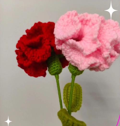 妈妈理解孩子辛苦的花语？哪种花代表母爱与理解？