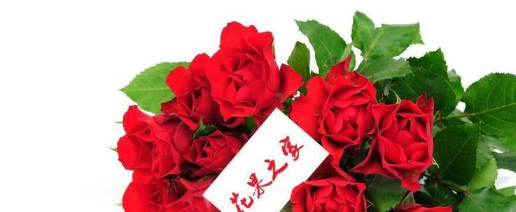 红玫瑰代表了什么？它的花语有何深意？