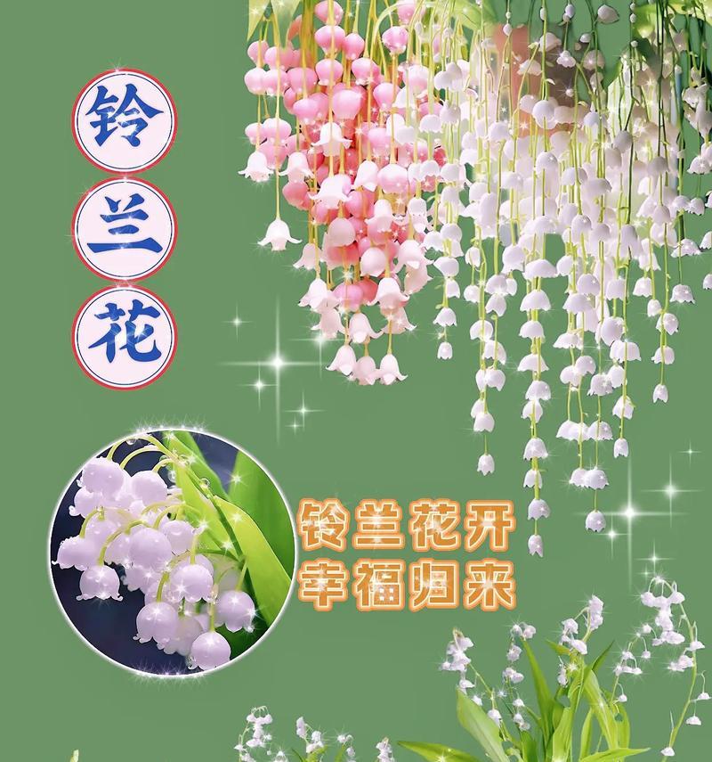 花语中遇见就是幸运是什么意思？它表达的寓意是什么？