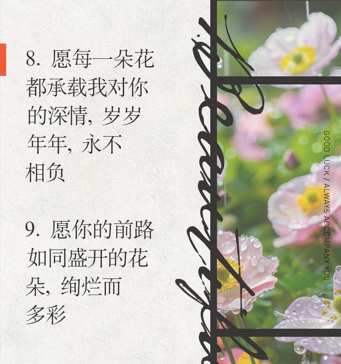 玫瑰、康乃馨和郁金香的花语分别是什么？