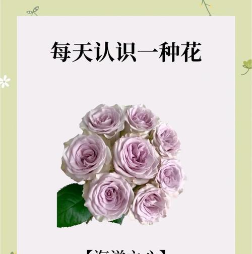 心之花代表的花语是什么？