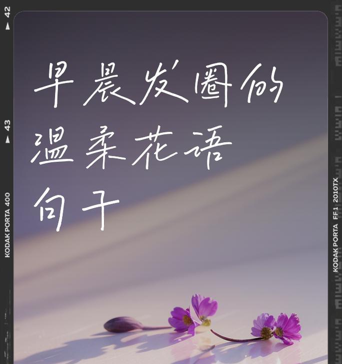 心之花代表的花语是什么？