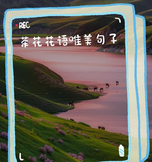 花语轻吟岁月静好的含义是什么？花语轻吟代表什么？