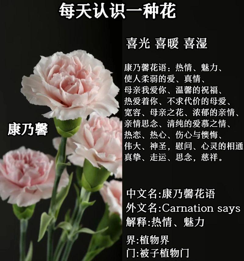 三月每日花语大全包含哪些内容？如何查询特定日期的花语？