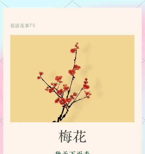 乌梅花的花语和象征意义是什么？