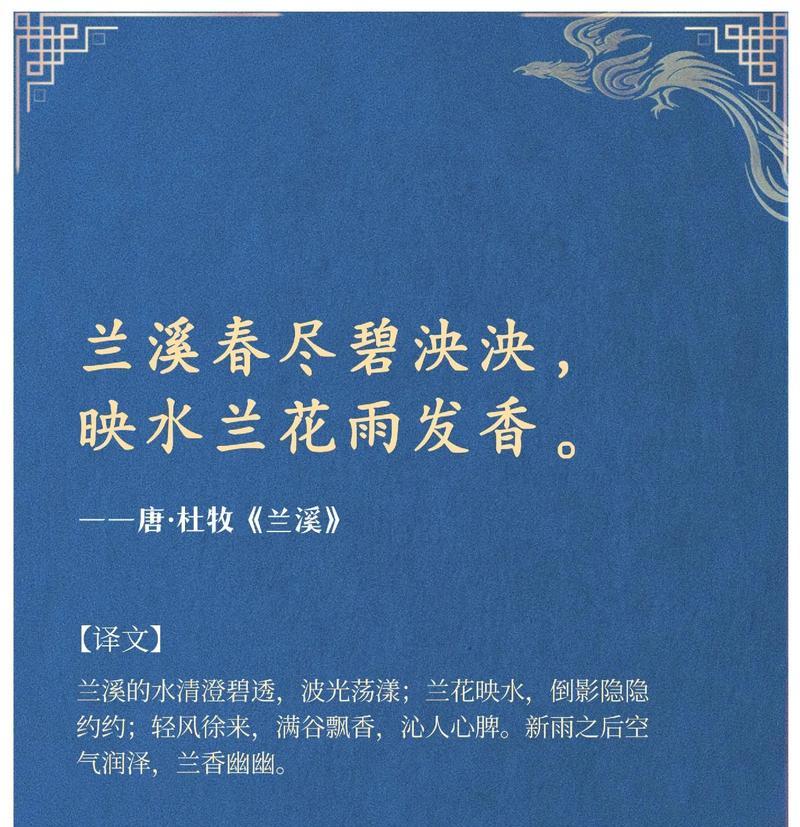 兰花的花语用什么语言表达？