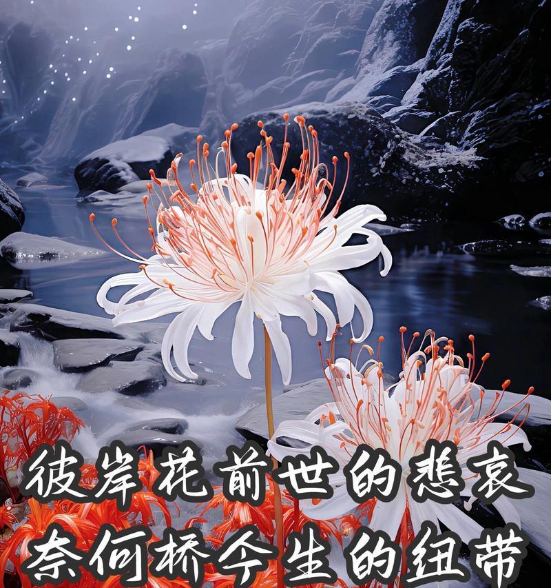 彼岸花的花语有哪些含义？