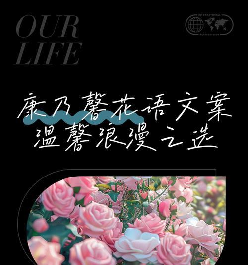 今日好看的花语是什么呢？如何选择今日的花语？