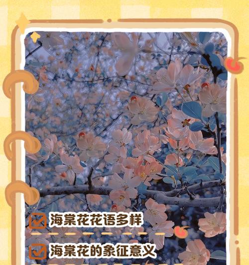 海棠未眠的花语有何深意？它象征着什么？