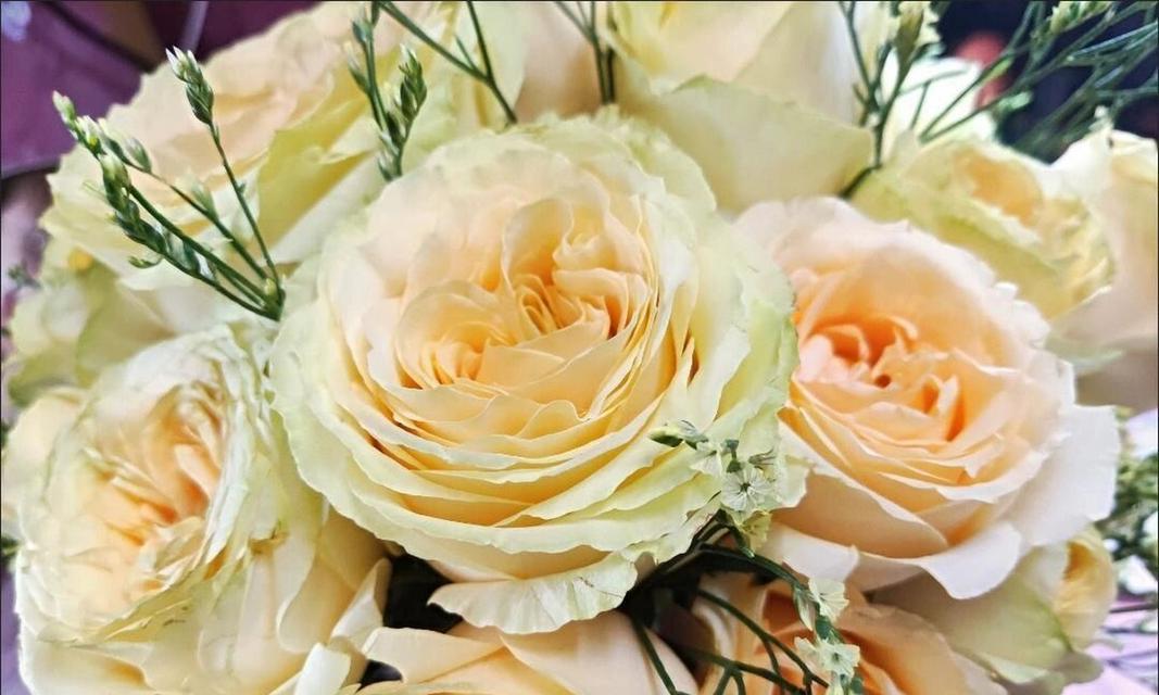 二十二朵香槟玫瑰代表什么？花语有何特殊含义？
