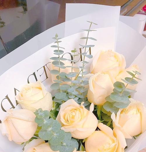 二十二朵香槟玫瑰代表什么？花语有何特殊含义？