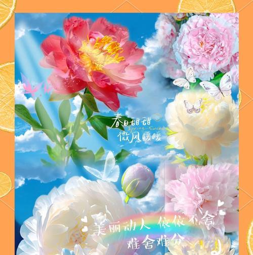 芍药花的花语有哪些？芍药花代表什么意义？