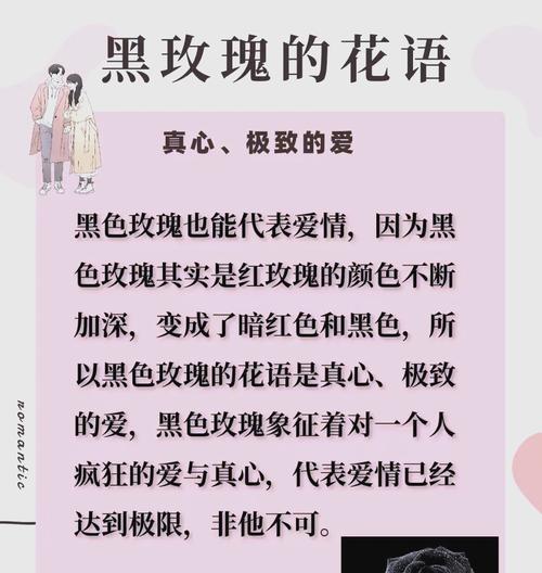黑色玫瑰花耳环的花语有何深意？