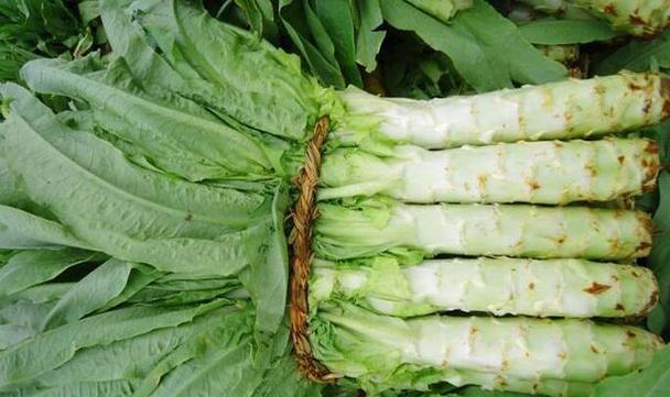 平性蔬菜有哪些种类？它们的健康益处是什么？