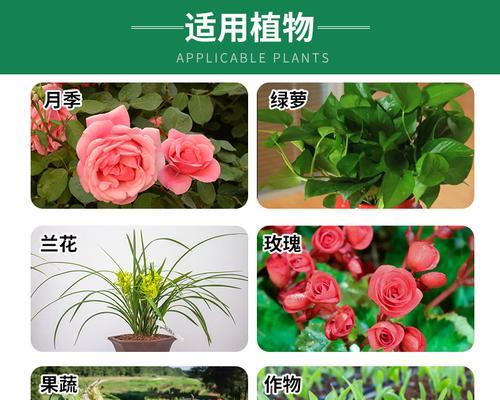 葡萄促花方法与人工催花技巧是什么？如何正确应用以提高产量？