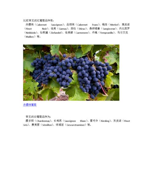 葡萄生长需要哪些条件？葡萄的特性有哪些？