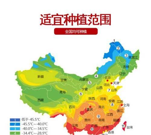 葡萄树浇水频率如何根据季节调整？春夏秋冬浇水有何不同？